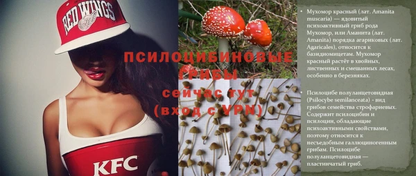 наркотики Бородино