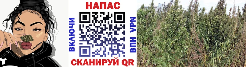 MEGA ссылки Клин Канабис MAZAR